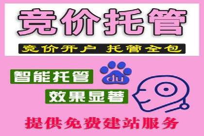 电商平台信息流广告的投放策略与效果评估案例